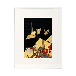 KenkoTokina(ケンコー・トキナー) 画廊 ワイド四切ホワイト AGR-W4-WH