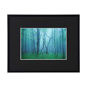 KenkoTokina(ケンコー・トキナー) ギャラリー 2L ブラック AGY-2L-BK AGY...