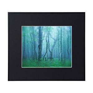 KenkoTokina(ケンコー・トキナー) ギャラリー 四切 ブラック AGY-4-BK AGY-...