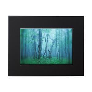 KenkoTokina(ケンコー・トキナー) ギャラリー ワイド四切 ブラック AGY-W4-BK ...