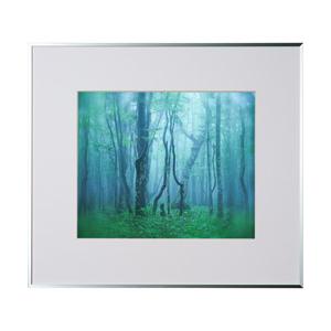 KenkoTokina(ケンコー・トキナー) ギャラリー 四切 シルバー AGY-4-SV AGY-...