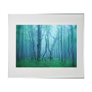 KenkoTokina(ケンコー・トキナー) ギャラリー A2 シルバー AGY-A2-SV AGY...