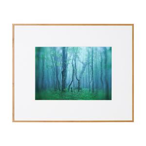 KenkoTokina(ケンコー・トキナー) ギャラリー A4 ナチュラル AGY-A4-NA AG...