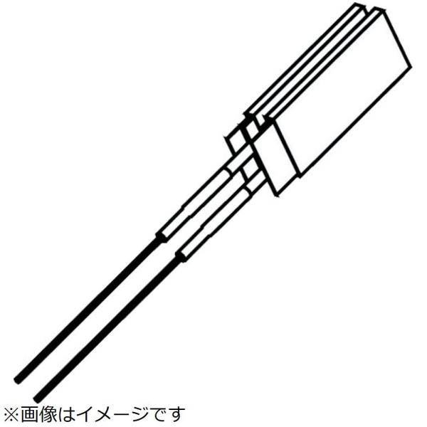 白光 白光　ヒーター　１００Ｖ−３００Ｗ
