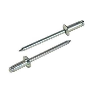 ロブテックス エビ　ブラインドリベット（100本入）　スティール／スティール　NS814EB　NS8...