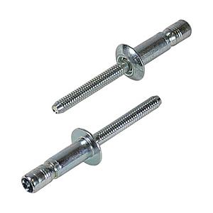 ロブテックス Sボルト（100本入）　SNS64095EB　SNS64095EB