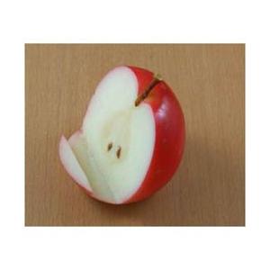 末武サンプル スマートフォン用 食品サンプル スマホスタンド りんご縦切り SUETAKE1062