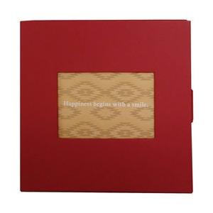 セキセイ HOOK COLOR（ホックカラー） ボックス HK-5785 レッド 【852】