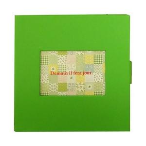 セキセイ HOOK COLOR（ホックカラー） ボックス HK-5785 グリーン