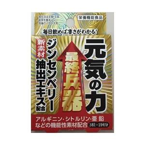 メイクトモロー 最終兵器元気の力2H [振込不可]
