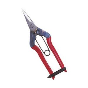 近正 ステンレス摘果鋏