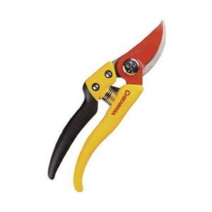 近正 ウルトラロッソ7イエロー