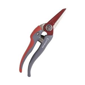 近正 ウルトラロッソG