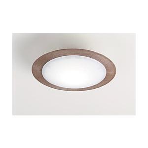 スワン電器 LED小型シーリング CE1004BR 【864】 [振込不可]