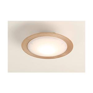 スワン電器 LED小型シーリング CE1005NA