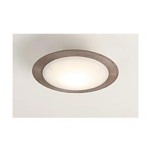 スワン電器 LED小型シーリング CE1005BR