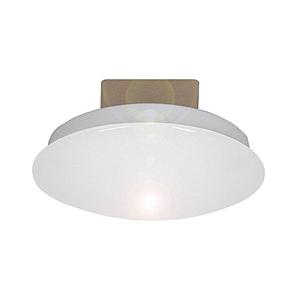 スワン電器 シーリングライト   ACE-150L