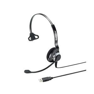 SANWA SUPPLY(サンワサプライ) 有線ヘッドセット MM-HSU07BK [USB]