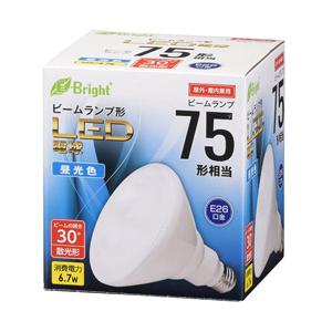 Panasonic（パナソニック） ハイビーム電球 散光形（フラッド） 75W