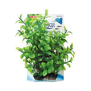 ジェックス 癒し水景　たっぷり　ハイグロフィラ