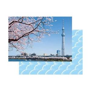 セキセイ パックンカバーアルバム 2L 東京スカイツリー PKA-711 【864】