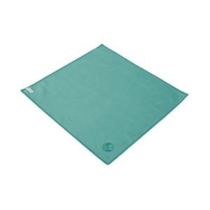 ETSUMI ミクロディアエピクロスL（グリーン）E-5237