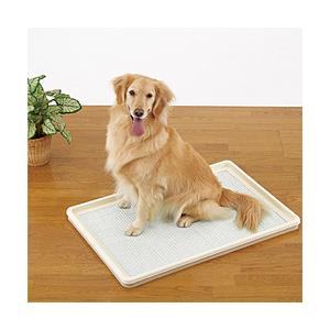 ボンビアルコン しつけるトレー　XL　メッシュタイプ