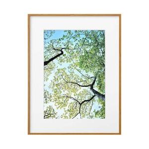 ハクバ ZEROフレーム G-01 A3 ナチュラル　FZG01A3NT