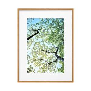 ハクバ ZEROフレーム G-01 A3ノビ ナチュラル　FZG01A3NNT