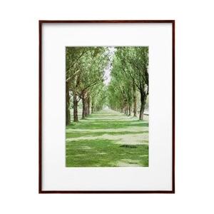 ハクバ ZEROフレーム G-01 A4 ブラウン　FZG01A4BR