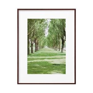 ハクバ ZEROフレーム G-01 A3 ブラウン　FZG01A3BR