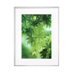 ハクバ ZEROフレーム G-01 A3ノビ シルバー　FZG01A3NSV