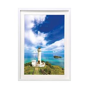 ハクバ 木製額縁 （A3ノビサイズ／ホワイト）　FWMM01-WTA3N