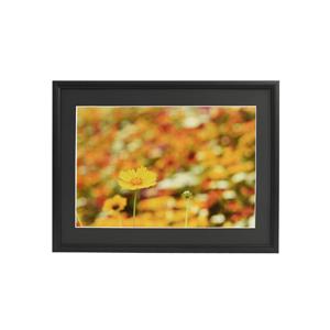 フジカラー アルミ額縁 A33 A4 ブラック