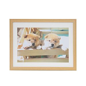 フジカラー 木製額縁_YM-9_ワイド4切_木地 木地