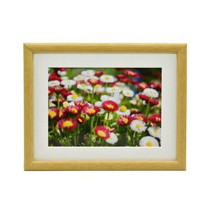 フジカラー 木製額縁_M20_キャビネ(2L)_木地