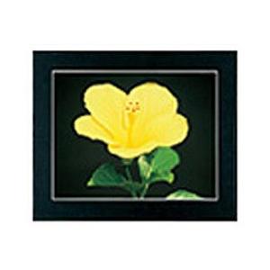 フジカラー マットパネルDX （半切ノートリ［135］） ブラック