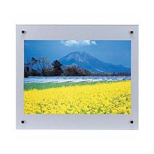 フジカラー プロフレーム （デジタルA4） シルバー