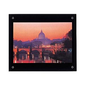 フジカラー プロフレーム （デジタルA4） ブラック