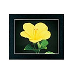 フジカラー マットパネルDX （ワイド4切） ブラック