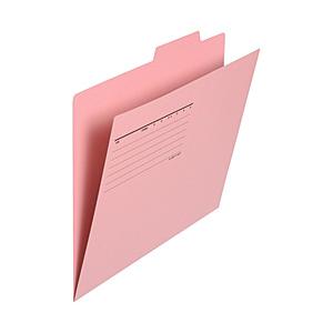 PLUS 個別フォルダーエコノミー10P PK   FL-081IF