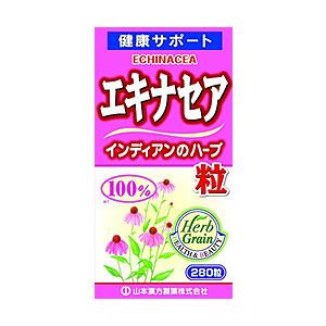 山本漢方 エキナセア粒100％280T