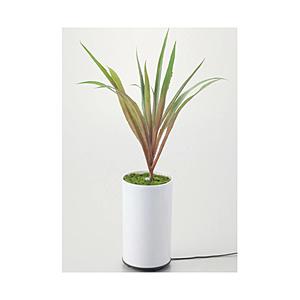 イシグロ 加湿器 グリーンディフューザー タイプA  70090 ［超音波式］