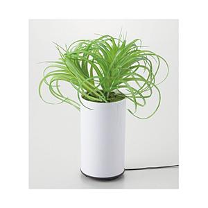 イシグロ 加湿器 グリーンディフューザー タイプC  70092 ［超音波式］