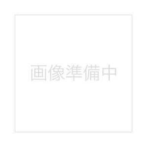 Panasonic(パナソニック) F-ZXDD40　空気清浄機用交換フィルター （脱臭フィルター）