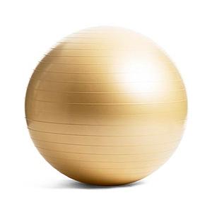 LAVIE ノンバーストバランスボール(65cm/シャンパンゴールド) 3B-4131