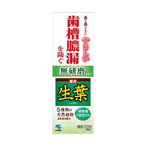 【在庫限り】 小林製薬 薬用 生葉 無研磨タイプ 95g〔歯磨き粉〕