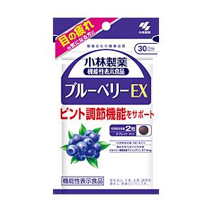 小林製薬 ブルーベリーEX  約30日分 60粒 ブルーベリー