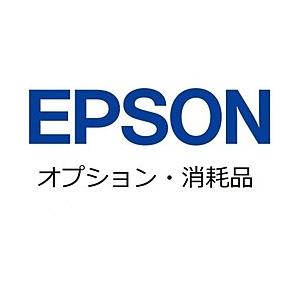 EPSON(エプソン) メンテナンスシート　DSMS1