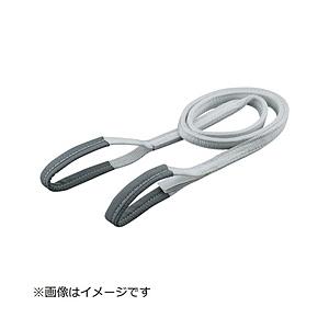 トラスコ中山 ベルトスリング JIS1等級 化学薬品用 25mm×4.0m TG2540C